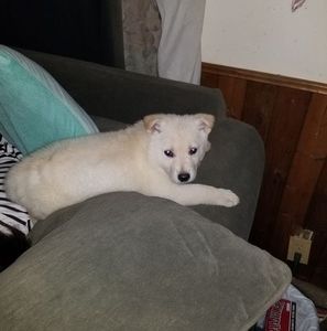 Meet your Posher, Mona